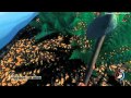 Ein Spaziergang der ist Lustig ~ The Forest Early Alpha #004