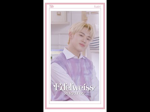 T1419(티일사일구) - &amp;#39;에델바이스(EDELWEISS)&amp;#39; Lyric Video <strong>KAIRI</strong>