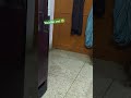 Mujhe apne ghar jana hai#viralvideo#ytshorts#shorts#viralshorts#rat#status#funny#comedy#funnyvideo