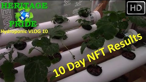 Hydroponic Rail System Build - VLOG 10 by HPFirearms