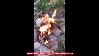 Hepi̇mi̇z Yolcuyuz Bu Dünyada Resimi