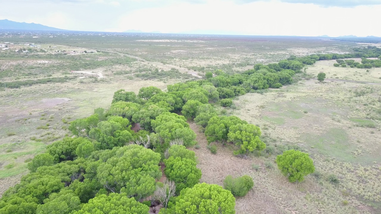 Hereford, Arizona YouTube