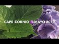 CAPRICORNIO ♑️ MAYO 2019 ♑️🙏🌈 Yuujuu!! BENDICIONES, AMOR VERDADERO, DESEOS CUMPLIDOS🌞❤️