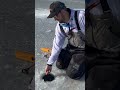 Fishing with tip ups on THIN ice!