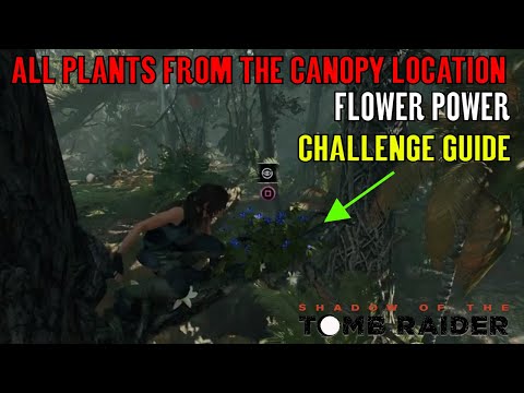 Shadow of the Tomb Raider 🏹 Flower Picker 🏹 (Peruvian Jungle Challenge Guide)