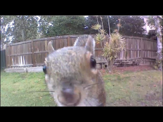 youtube image