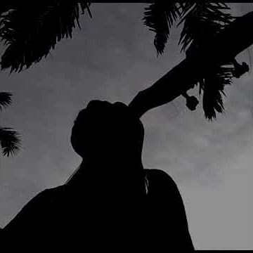 Story Wa 30 Detik Gitar Bikin Baper (Samsons - Kenangan Terindah)