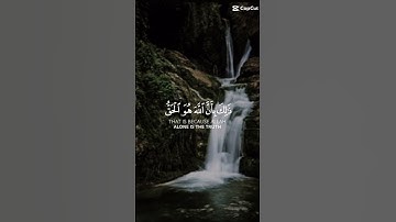 سورة الحج بقرأة الشيخ (ياسر الدوسري )وترى الأرض هامدة #اكسبلور #لايك #راحة_نفسية