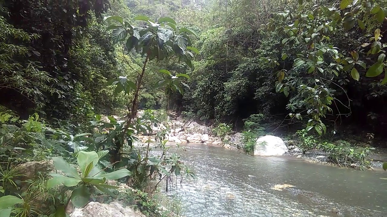 Turismo república dominicana mana Yaguate