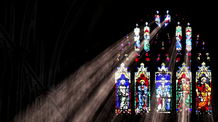 Header Video