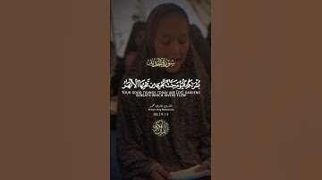 (يوم ترى المؤمنين والمؤمنات يسعى نورهم) @TareqMohammadOfficial سورة الحديد