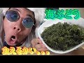 【ASMR】海ぶどう美味しいと思ってた。。。