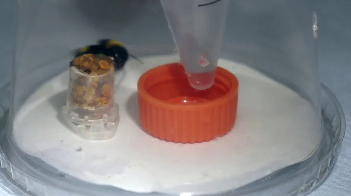 Heather Nectar as Bumblebee Medicine/ Curr. Biol.,...