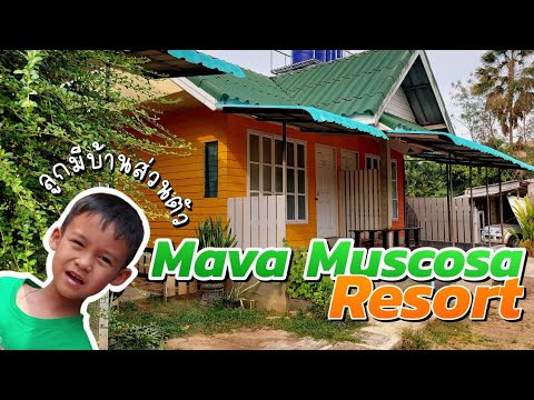 รีวิวที่พัก Mava Muscosa Resort มาวารีสอร์ท แม่ฮ่องสอน 