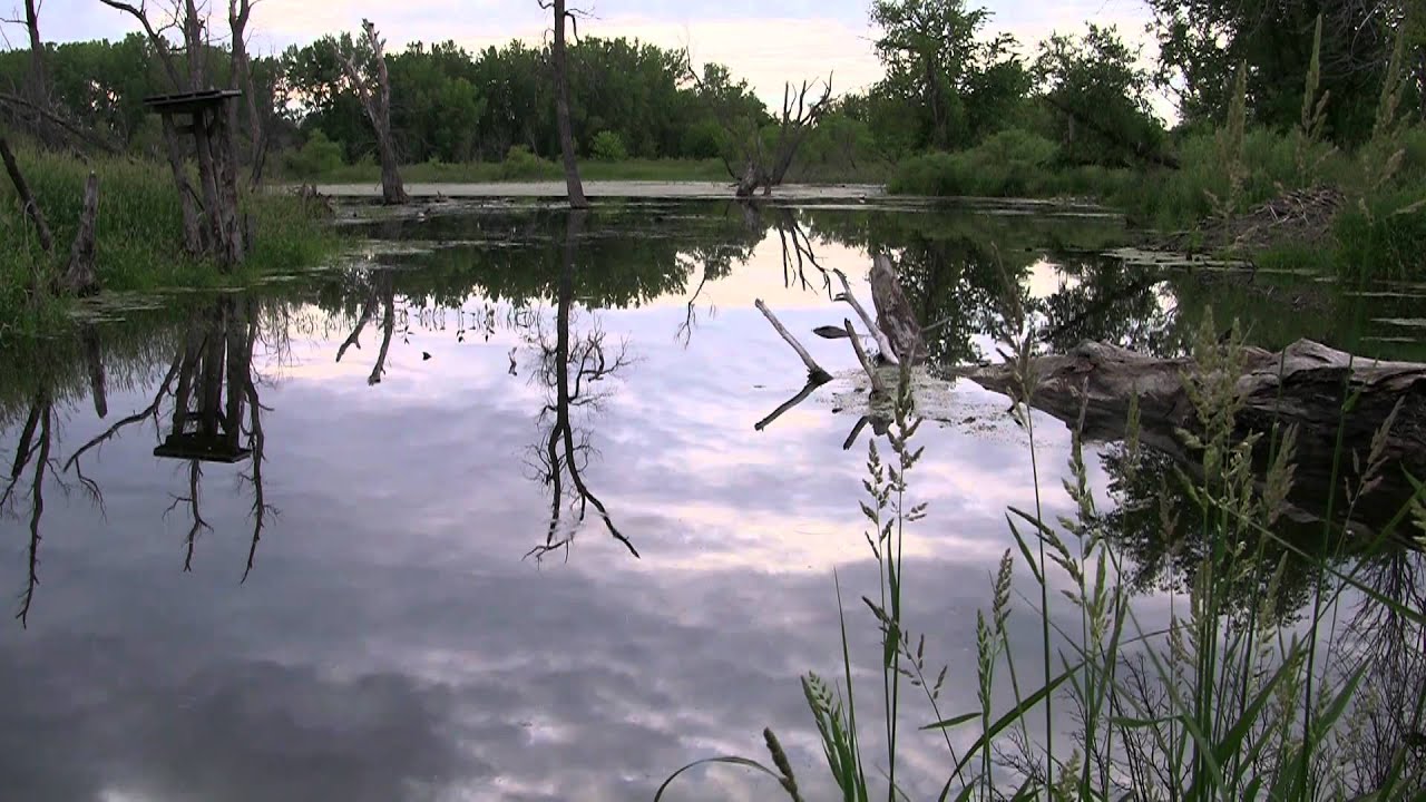 Minnesota River Keepers