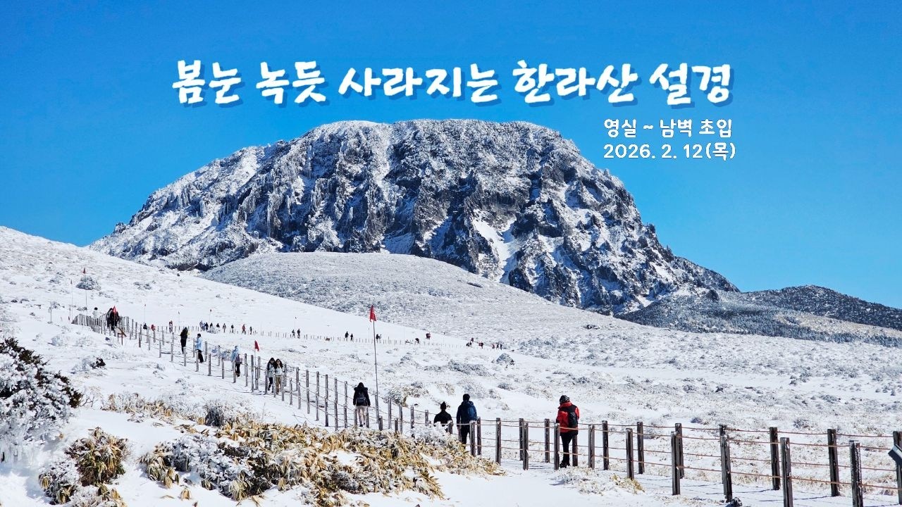 봄눈 녹듯 사라지는 한라산 윗세오름 설경(2026.2.12)