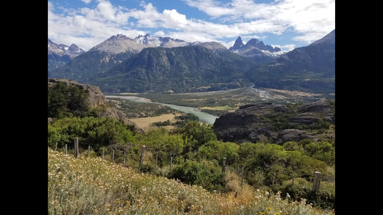 Secrets to Pruning Blueberries | Small Farmers in Chile