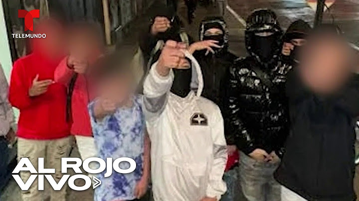 Policía asegura que niños inmigrantes son responsables de la ola de robos en Manhattan