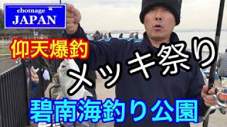 碧南海釣り公園 仰天爆釣 メッキ祭り