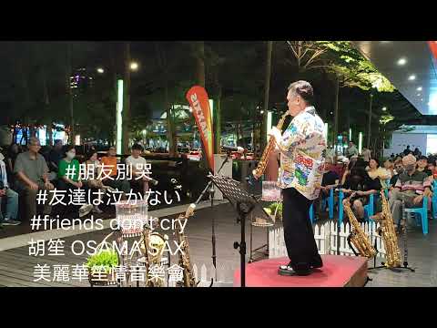 朋友別哭/胡笙薩克斯風