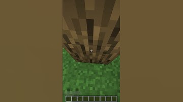 Thumbnail of Minecraft Sounds, but it's Rick Astley Never Gonna Give You Up #Shorts