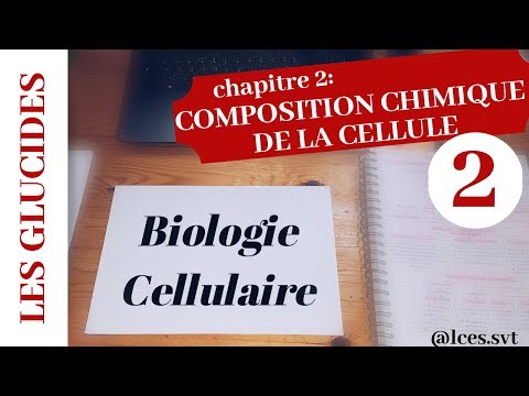 Vidéo: La Composition Chimique Complète Du Mûrier