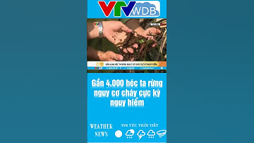 Gần 4.000 héc ta rừng nguy cơ cháy cực kỳ nguy hiểm | VTVWDB