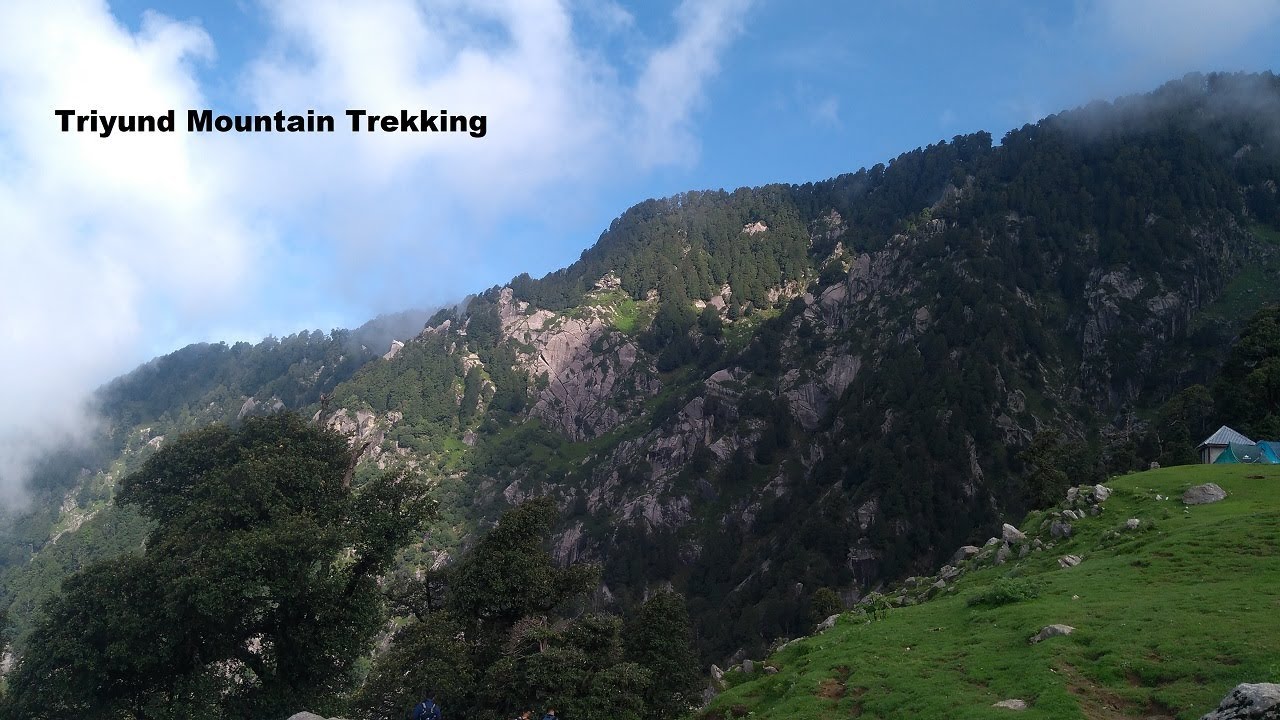 My Triyund Mountain Trekking | My Dharamshala Tour | My Tour