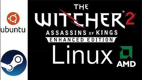 Witcher 2 SteamOS/Linux AMD performance