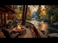 Summer Morning Ambience Riverside Cabin Porch Firepit Nature Sounds For Relaxing Reading Summer Morning Ambience Riverside Cabin Porch Firepit Nature Sounds For Relaxing Reading