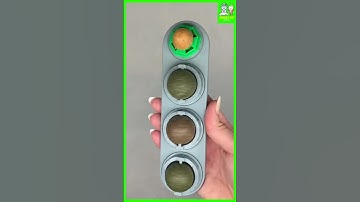 🐱 Catnip de bola de parede - erva de gato 🐱