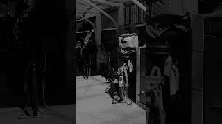 Wandering Shorts vol.12  #streetphotography