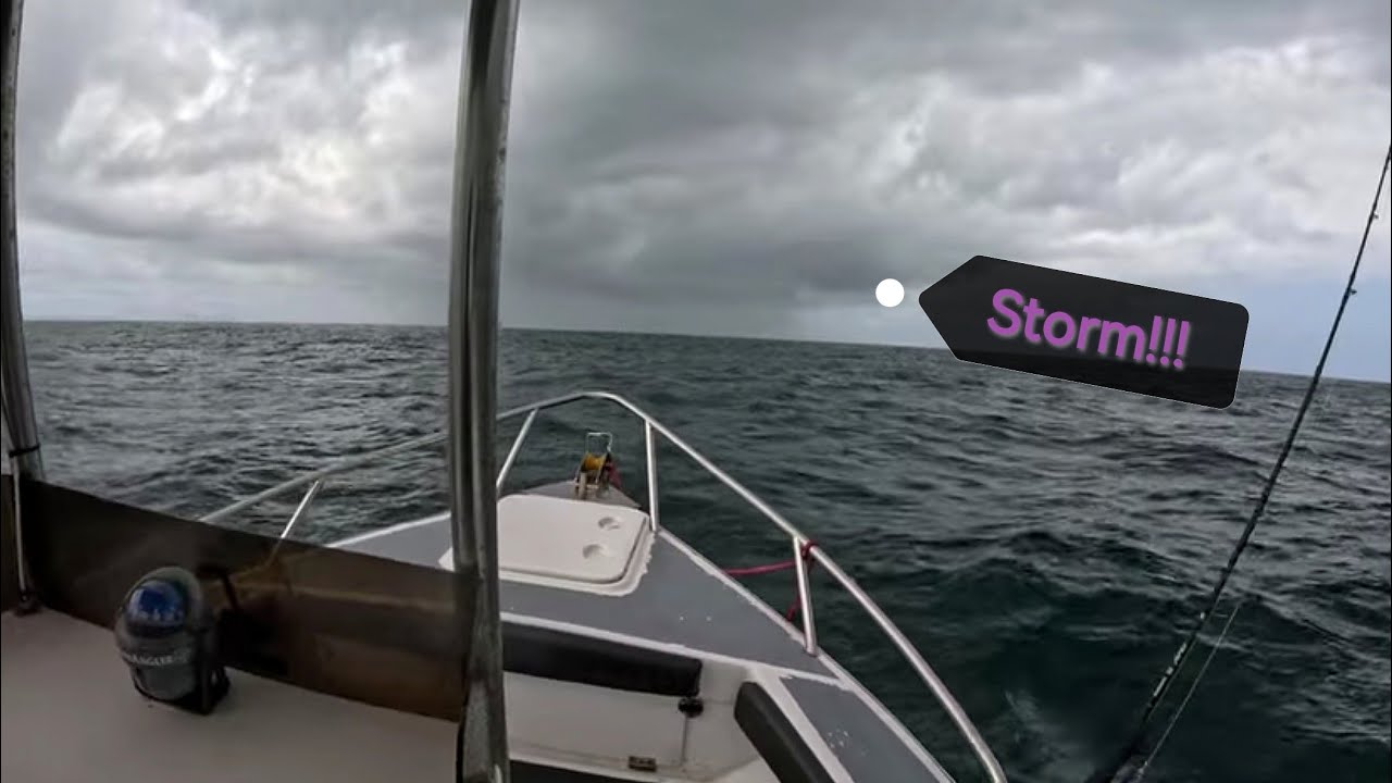 Поймать и приготовить желтохвоста [Тунец не удался]