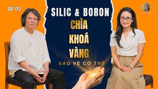 Số 133: Silic và Boron – Mắt xích vàng bị lãng quên trong làng vi chất