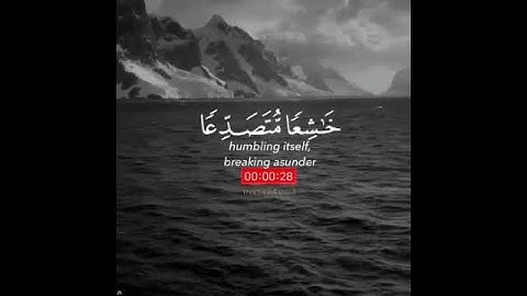 القارئ شريف مصطفى|| سورة الحشر