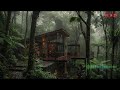 Deep Sleep Rain Loop with Gentle Storm Sounds