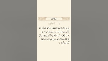 سورة الزمر: الآية 38 #قران_كريم #قرآن #quran #سورة_الزمر