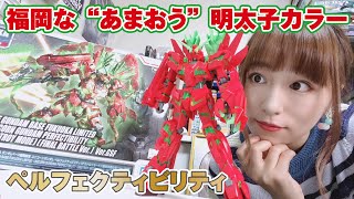 福岡らしい色合いが特徴的！「HGユニコーンガンダムペルフェクティビリティ」の続きをつくります