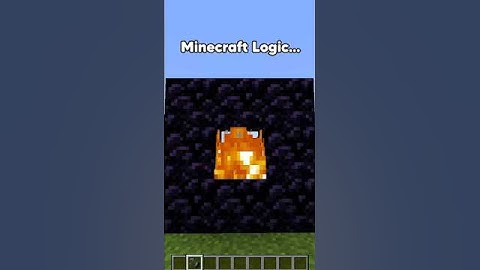 Nether Portal Logic in Minecraft 🤔 #minecraft #shorts