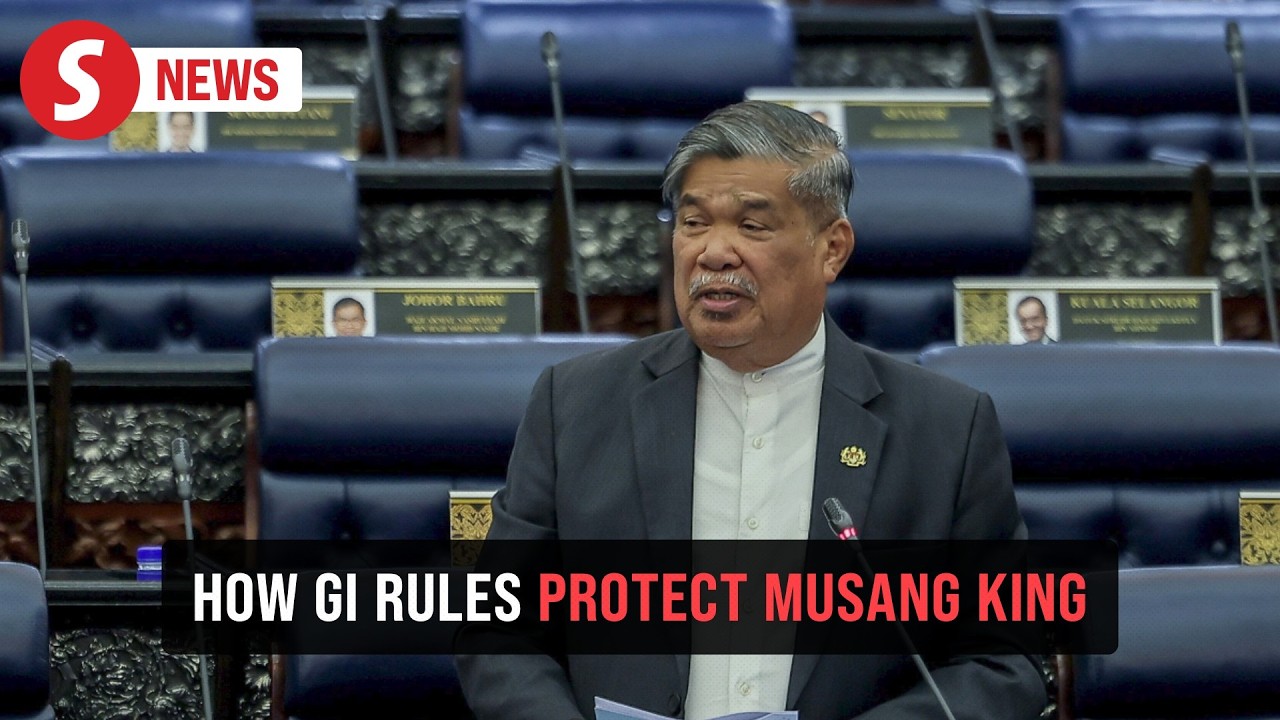 Malaysia’s Musang King protected by GI registration, says Mat Sabu