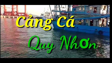 Thăm quan cảng cá Quy Nhơn.