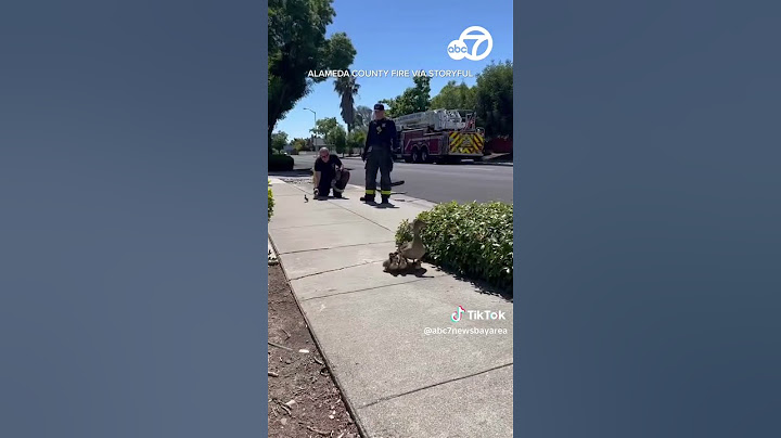 Alameda County firefighters rescue ducklings from storm drain