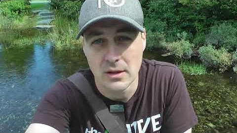 Biology 2600 Lab 2 Stream Survey Video