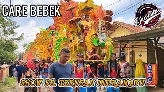 Care Bebek - Singa Depok Dua Putra - Show Ds. Terusan Sukadedel