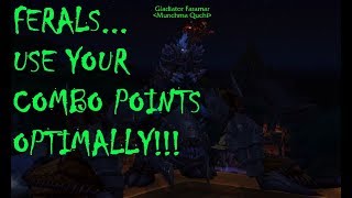 FERAL GUIDE - HOW TO USE YOUR COMBO POINTS EFFICIENTLY