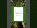 Atomic Habits by James Clear | Quick Book Summary #2 #Shorts