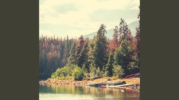 Modish Finding Clarity