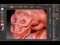 Scorpiod - Head Timelapse - Zbrush
