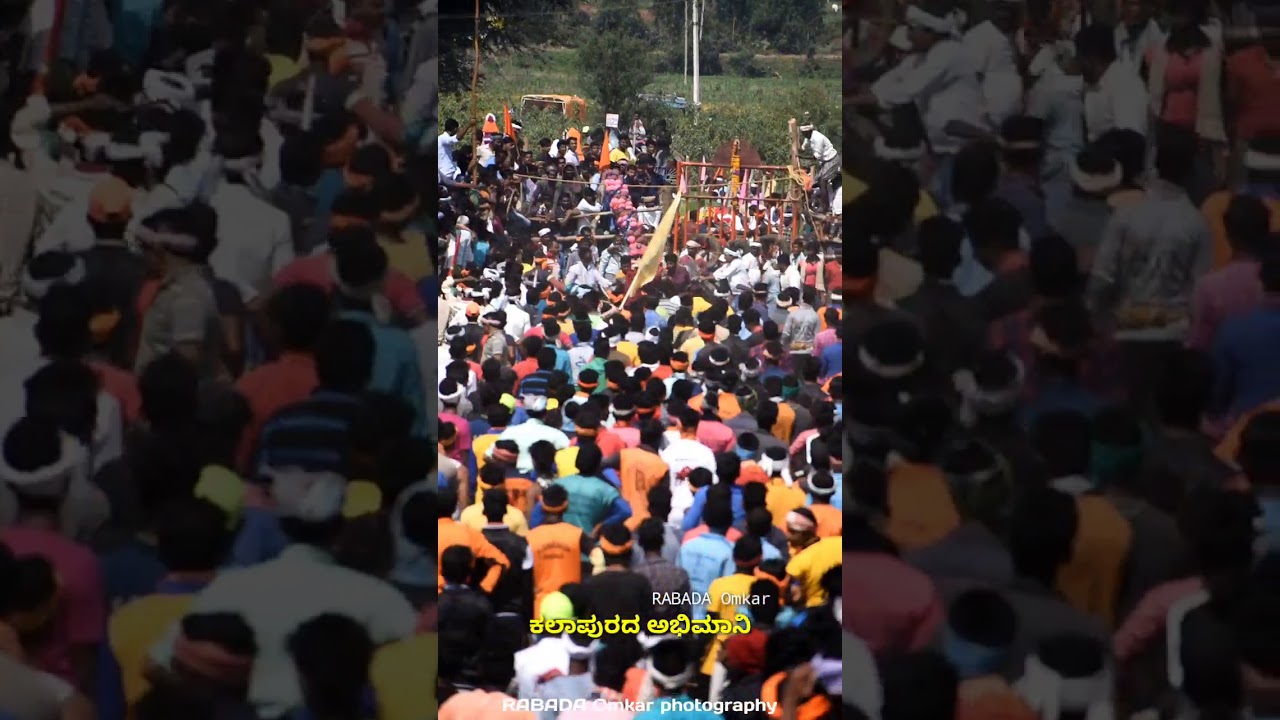 Bull festival| Horri habba | Bull catching