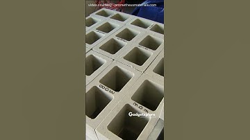 🌱 Dit algencement zou de planeet kunnen redden